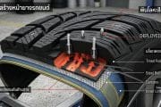 Cross-section of a studded tire showing tread, deployed studs, steel belts, carcass, and inner liner.