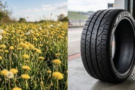 Left: field of yellow dandelions under a blue sky; right: a large tire standing upright in a pit area with a small checkered flag nearby.