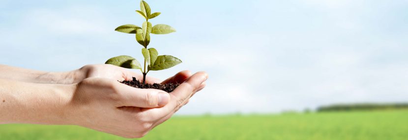 ฝุ่น PM 2.5 คืออะไร ? เรียนรู้ ปรับตัว และปรับปรุง ฝุ่น PM 2.5 คืออะไร ? เรียนรู้ ปรับตัว และปรับปรุง