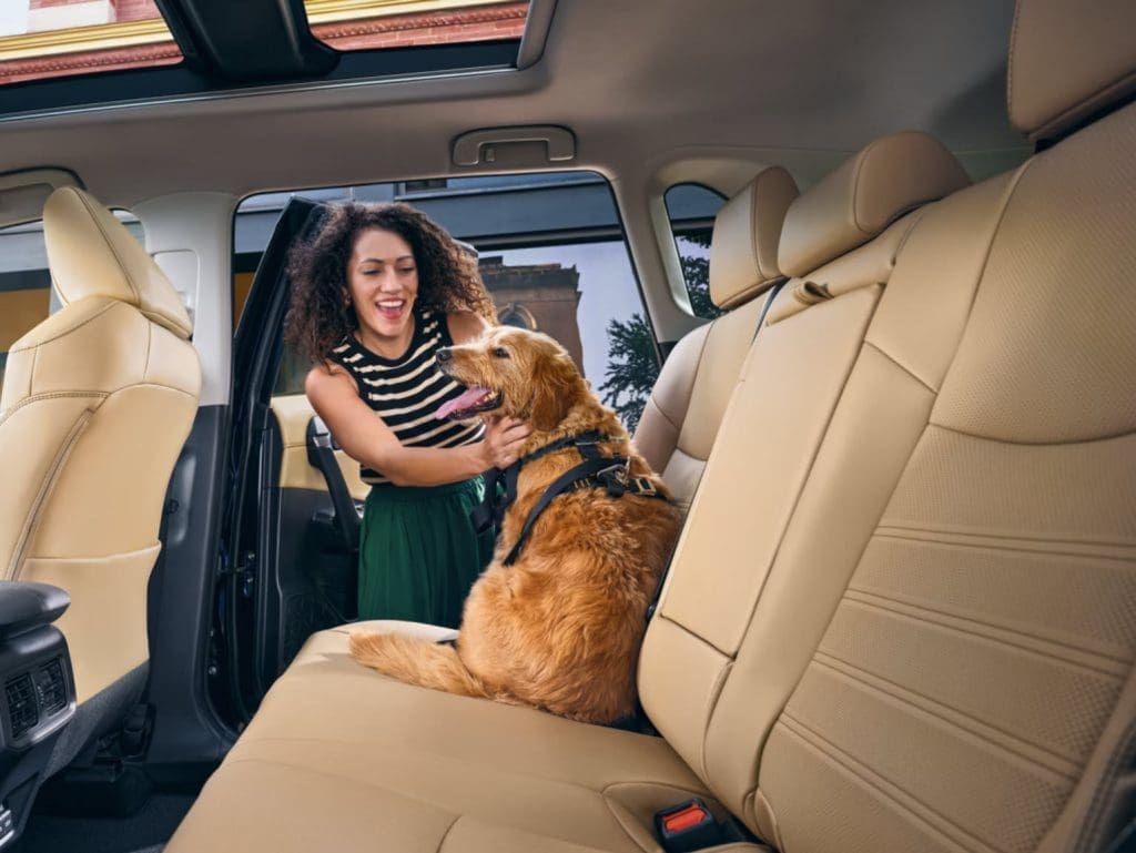 Toyota RAV4 2025 ครอสโอเวอร์สมดุลสุดแห่งปี พร้อมดีไซน์ใหม่